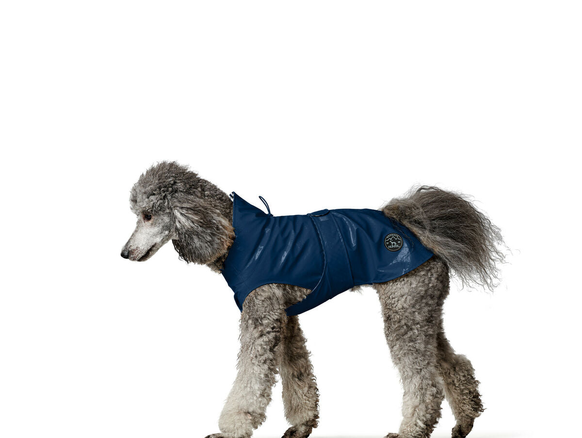 V6H7600DE5A8DFC3E5007D4240CC486E2F4R4669423P4