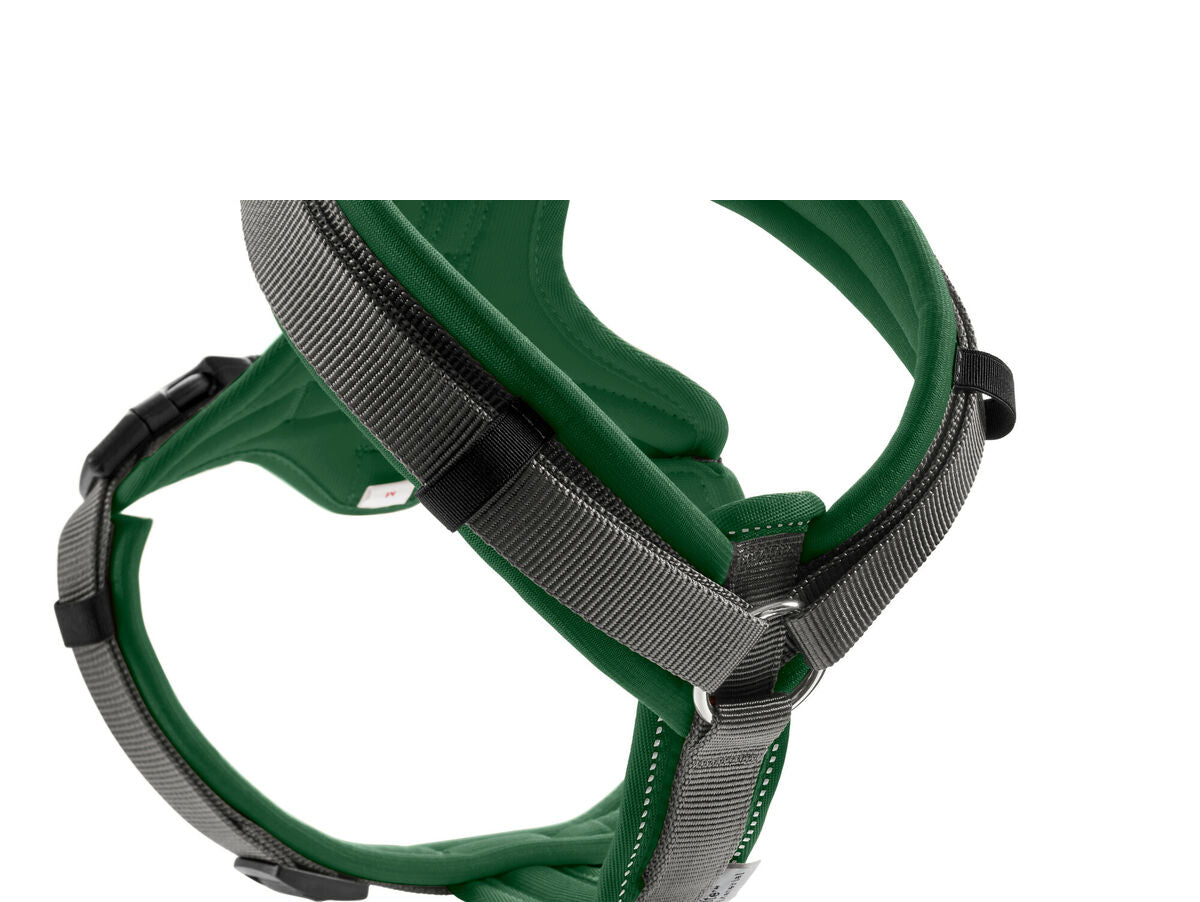 V7H5A81F62C5B17D50E191CF7385373A862R4218033P2