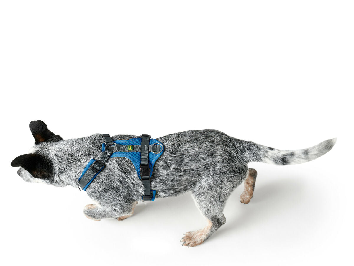 V7H398495EC18F0DA87A943F9D3582FDA3ER4218127P4