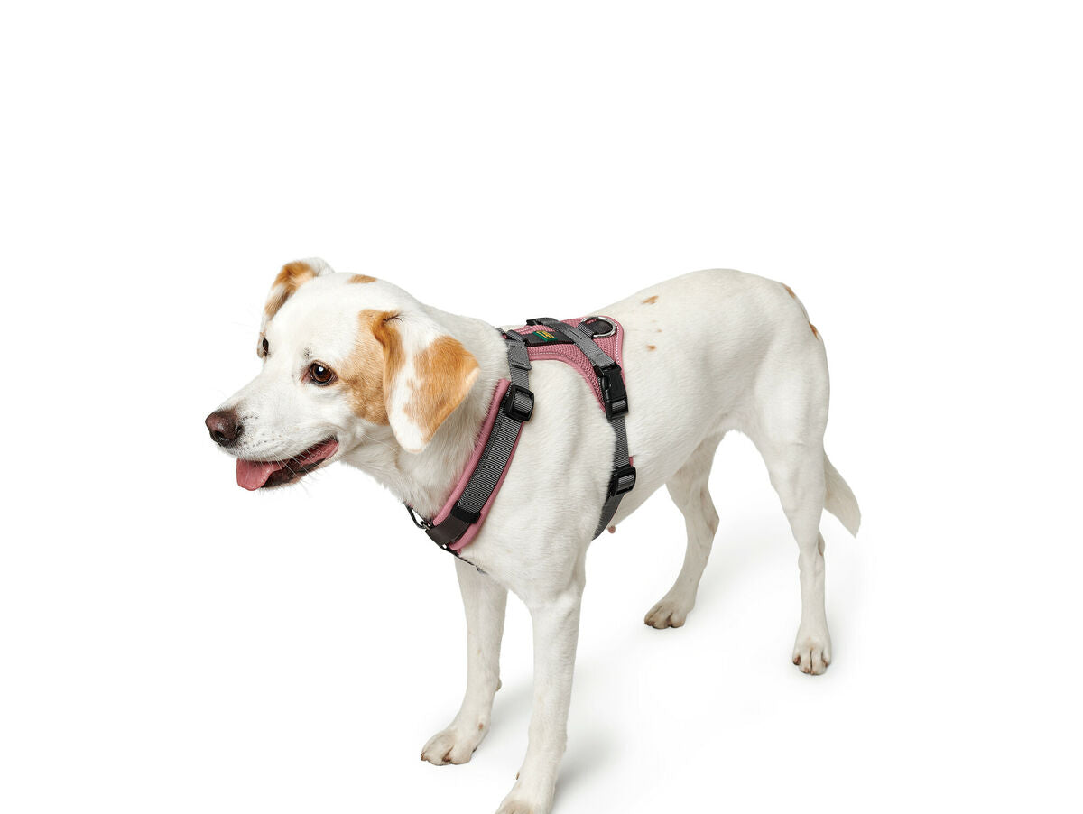 V7HCFBD04EB67EF53B70CA58FB2A3D1FFA2R4217985P3