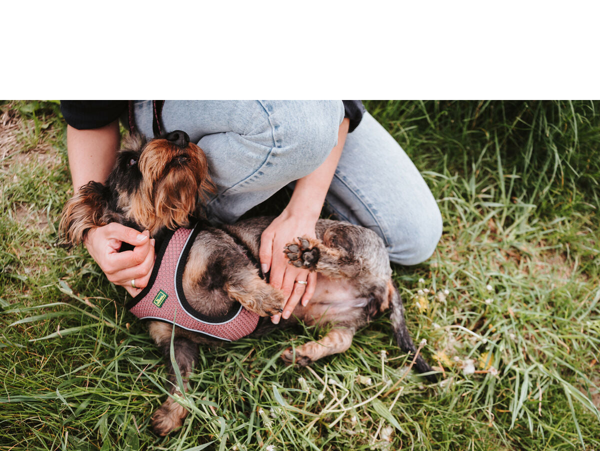 V7HEF9ECDEEEB6AB244258261A6AB6F57A5R4218006P4