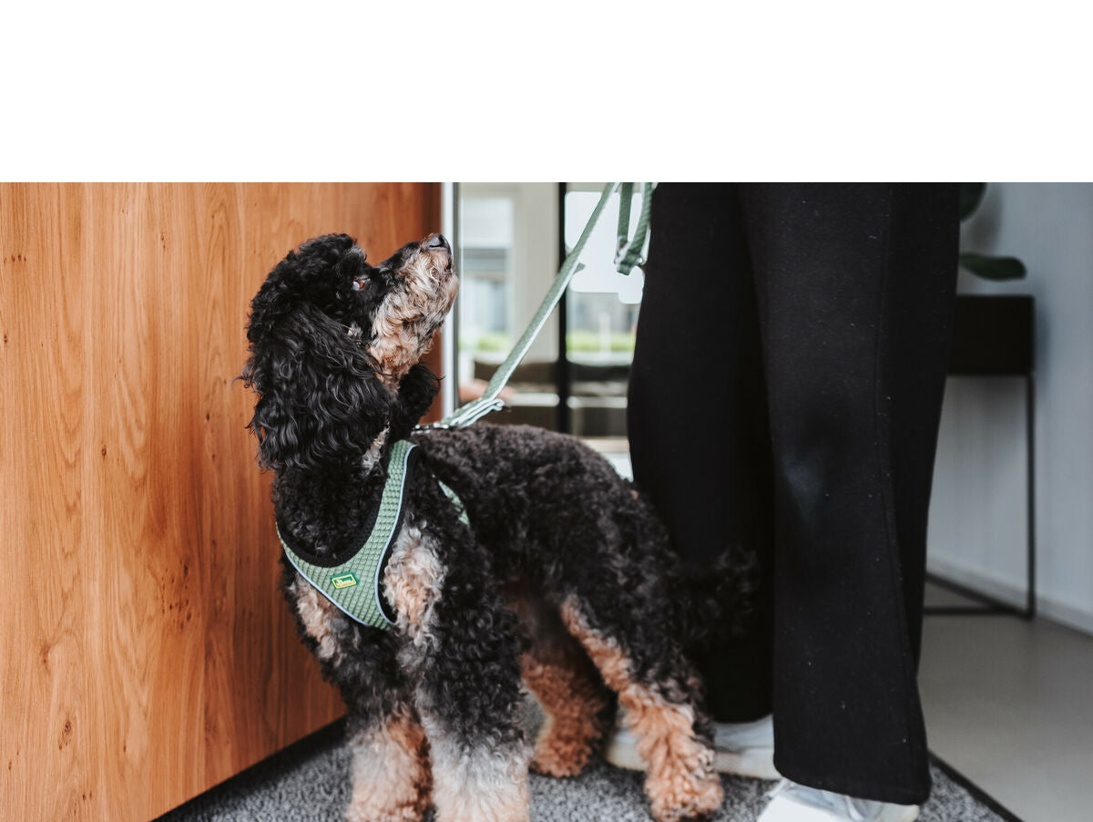 V7H9CDBE221D1EE80AF8F6AEFFFA802454ER4218048P4