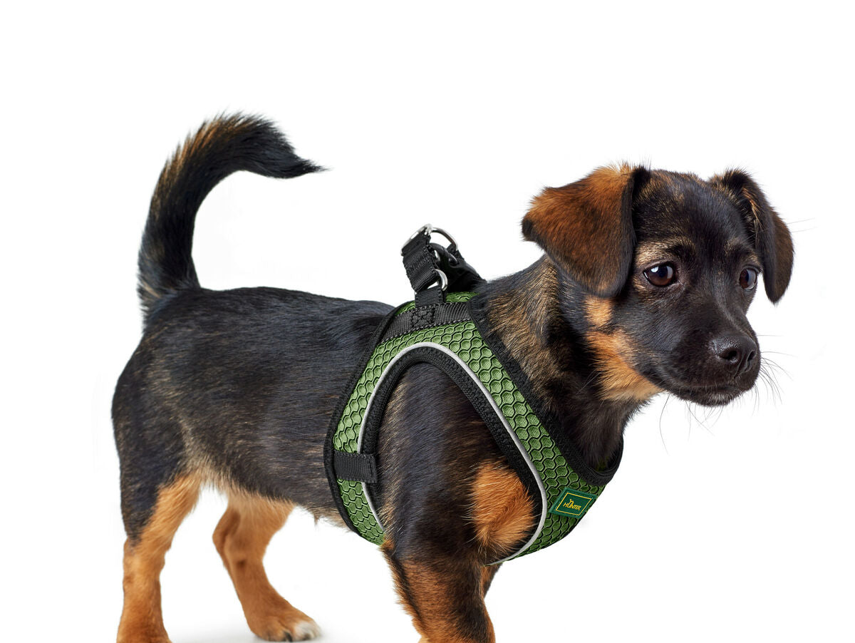 V7H818C4DCD986B6FF6124DCB7FAD449439R4218093P3