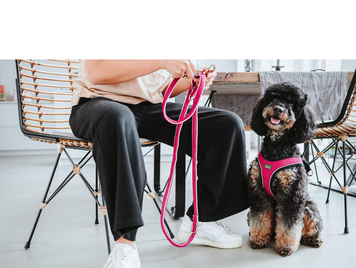 V6H8370100A9161D70DF6D72F24F4A7FF1DR4393783P2