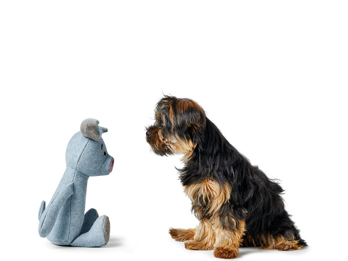 V7HCE64DA8CCF5C1914E8841AF291594364R6396717P3