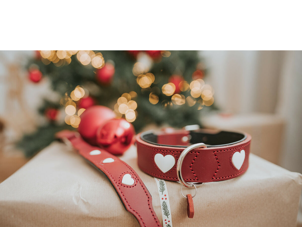 V8H6382F322774AB21F8BC86212DE5D7E6FR6577474P3