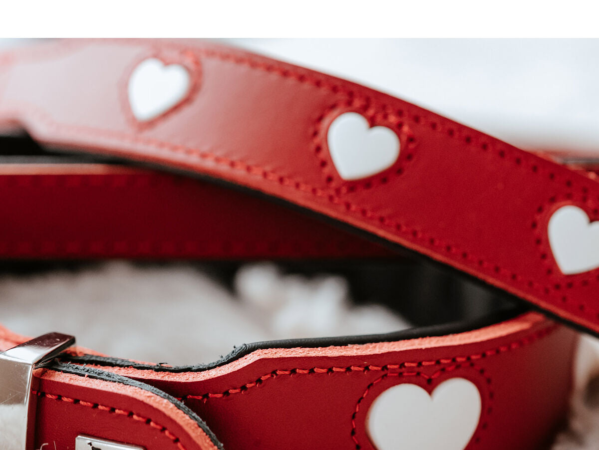 V8H09D3C2A0F3A251298F8F006BB7E3F29AR6577480P5