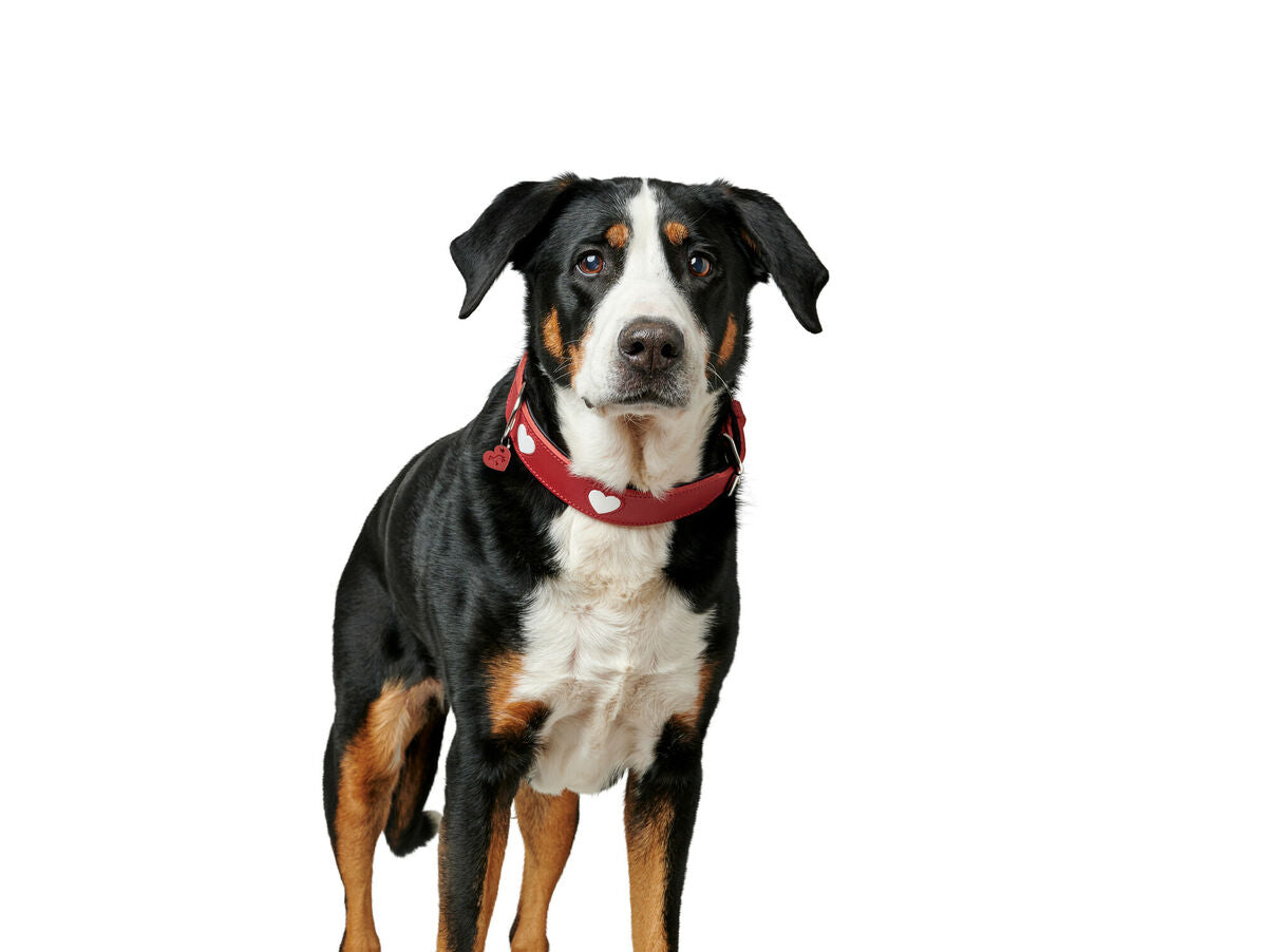 V8HFDB2455982E347AB395C554D9490C303R6575308P4