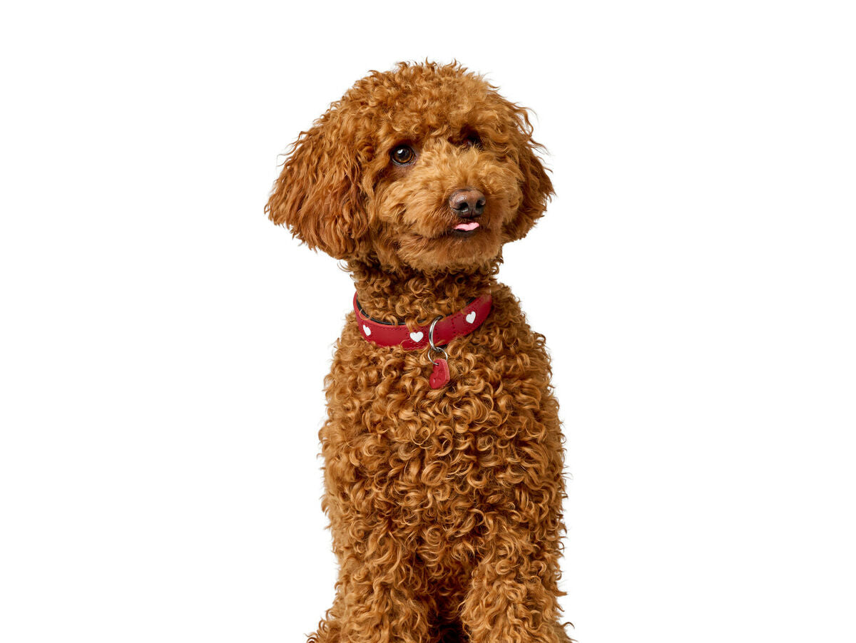 V8H1F04B3F56A8C9680F99788778057E3F6R6575310P6