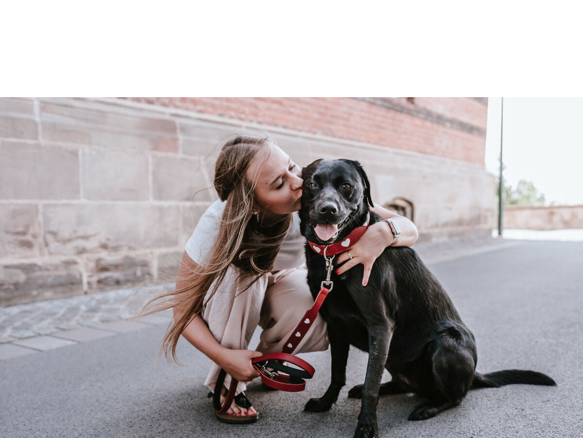 V6HB0A4AC95CB46969E3BAB48F0A626D953R4393778P2