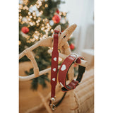 V4HCA51A53F0DE5EA29C1E3975BA94887F5R4393780P4