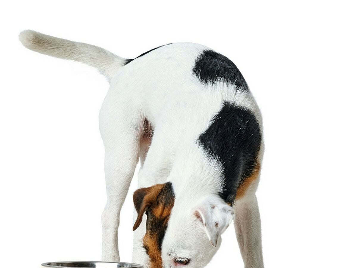 V13H742A244B1F0BB08E25BBA695B2FFEED2R3944793P4