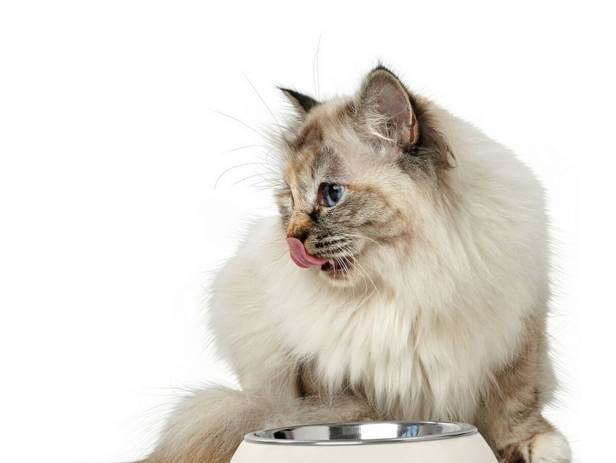 V13H8C96812F99EAC74D5B14CB7E453CB2FFR3944796P6