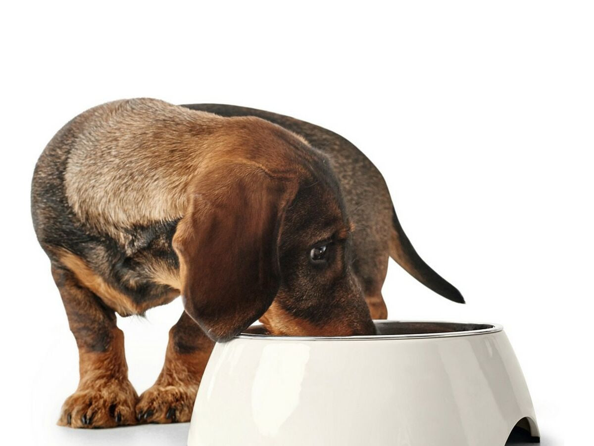 V14H9938BF66584EAF760E267D9C4D890BDDR3944805P6