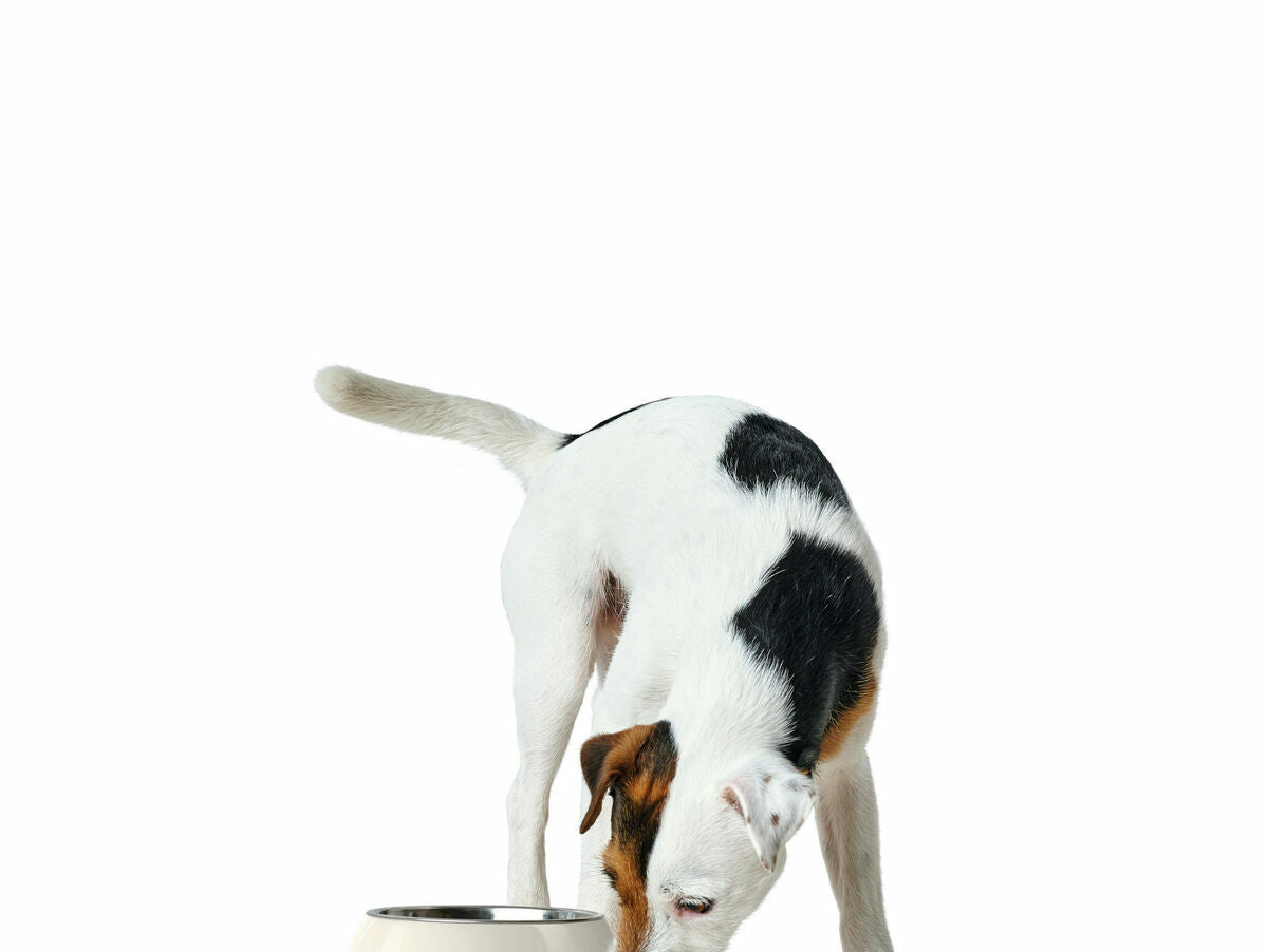 V7HD924FBA35659134AD068A3D905FA7EDCR4438108P2