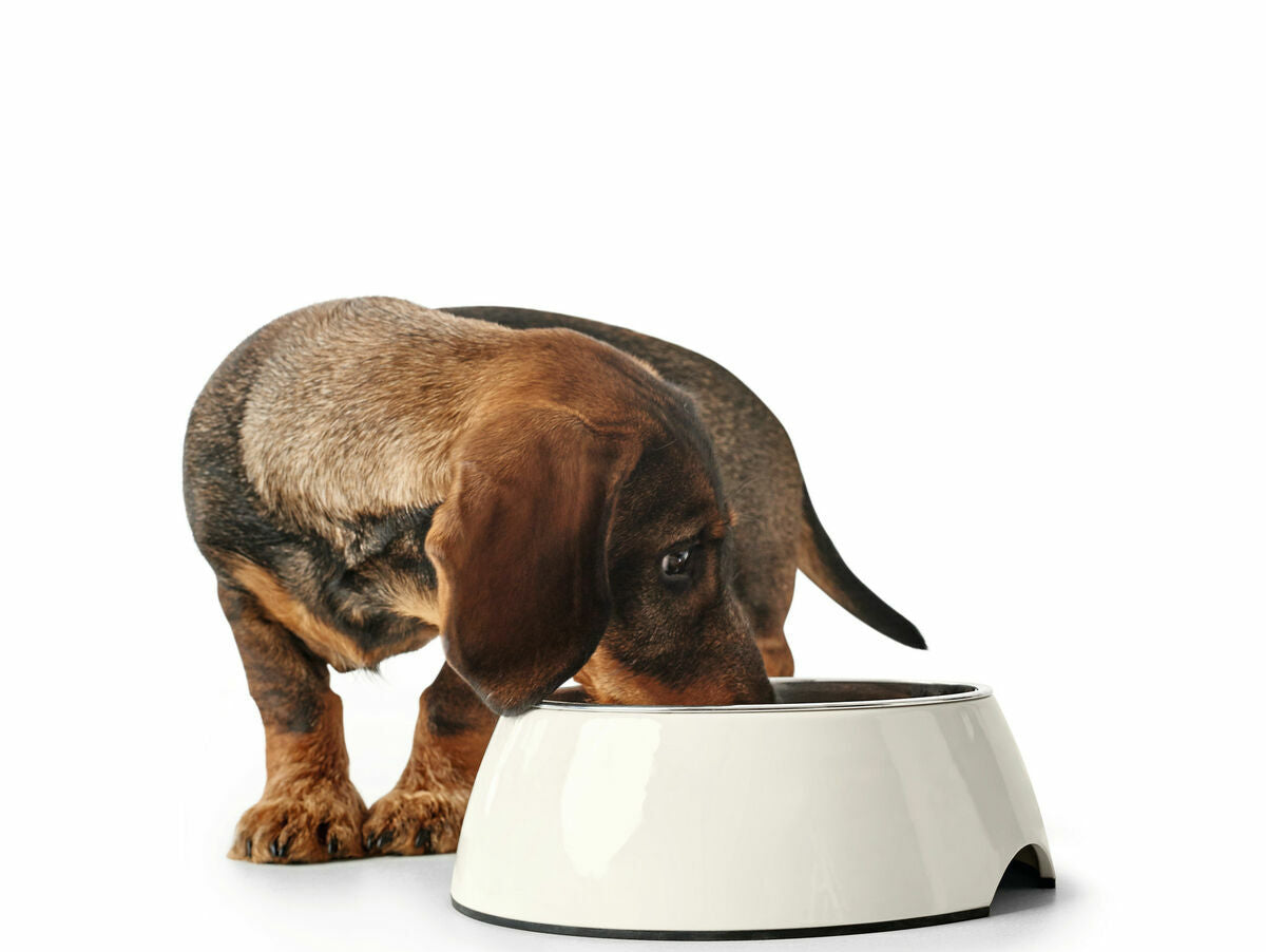 V7HCFF53D705E9F1084D947B2D3AAF13508R4438111P3