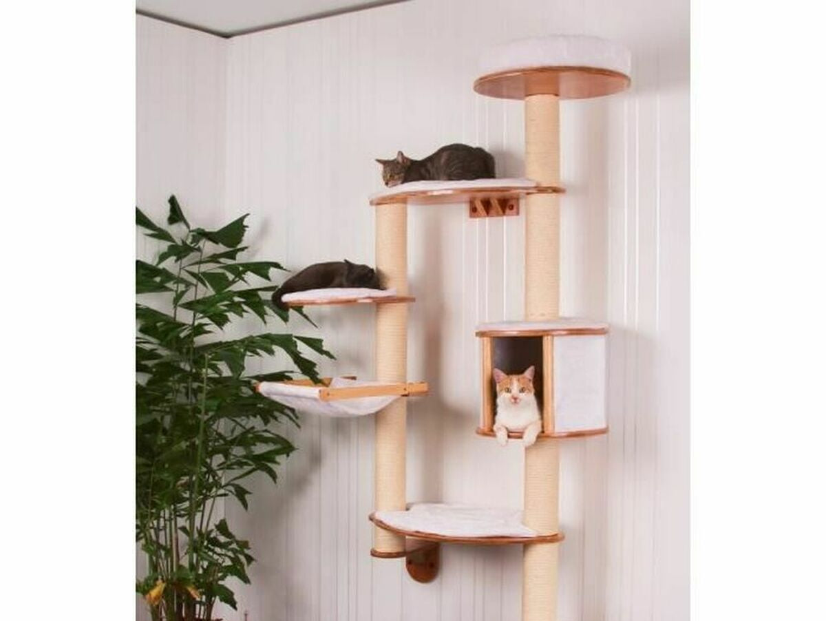 V6H4FD5B8111F1EE6A0DF853015E4C6B03ER3545382P1