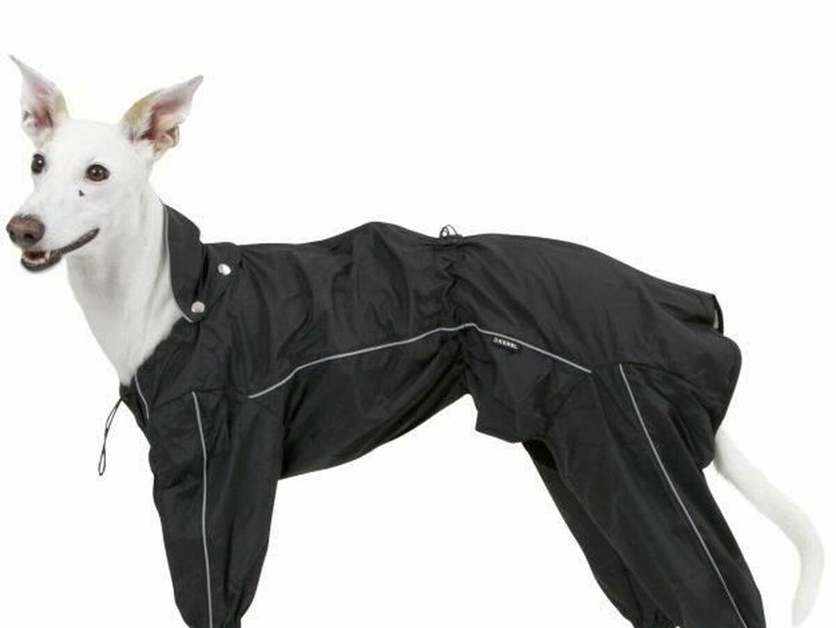 V8H8E30FB068912F6C0234F6A8395456654R6605956P1