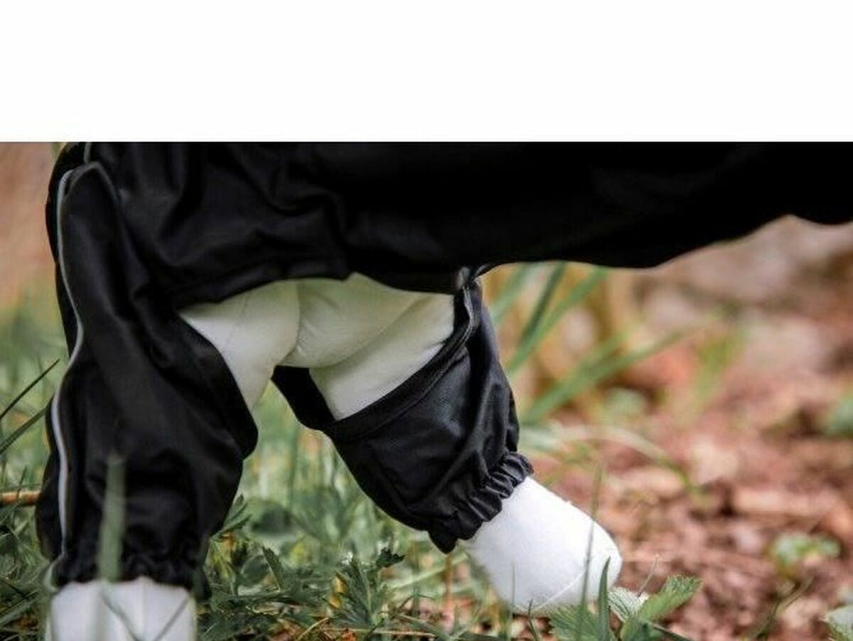 V8H16318E57A98E905C08D03450436E6DE9R6605963P3