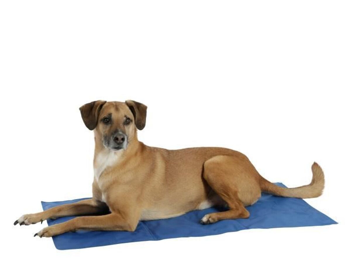 V2H62B51F6B2749AA2C2E7CDBABE1364DE8R7467613P5