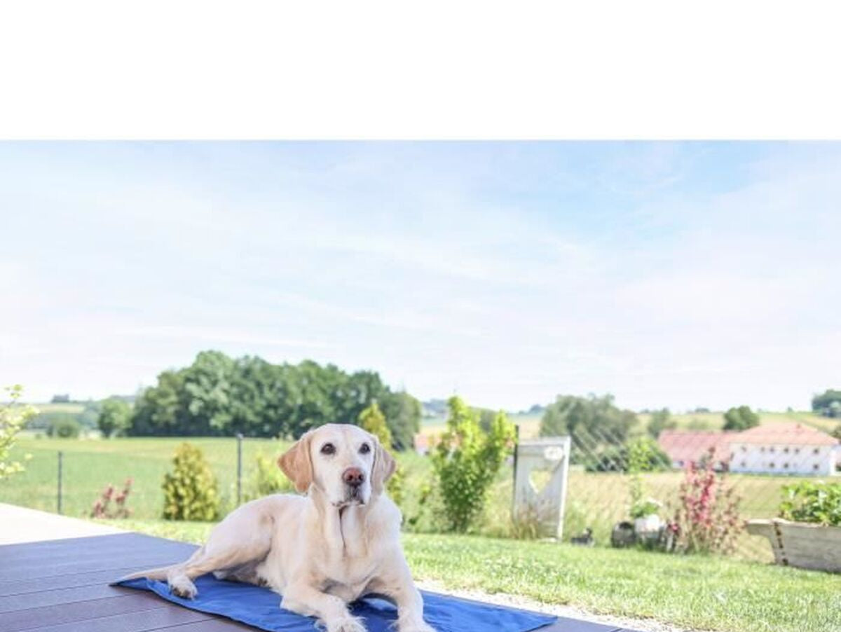 V2H17D30FA985D212DBACB31D3DAD6AC21ER7467615P6