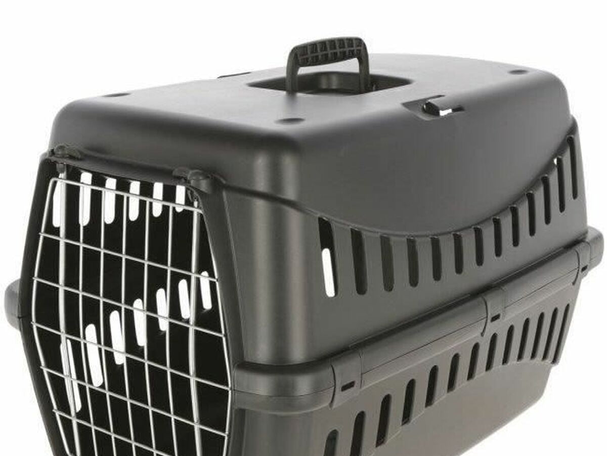 V6H916E2F9DA171E8A7FB4584860CF42C38R4896883P1