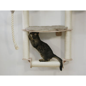 V2H6C5C9B92E91FDC67C831D830BD9BF9F9R7479784P6