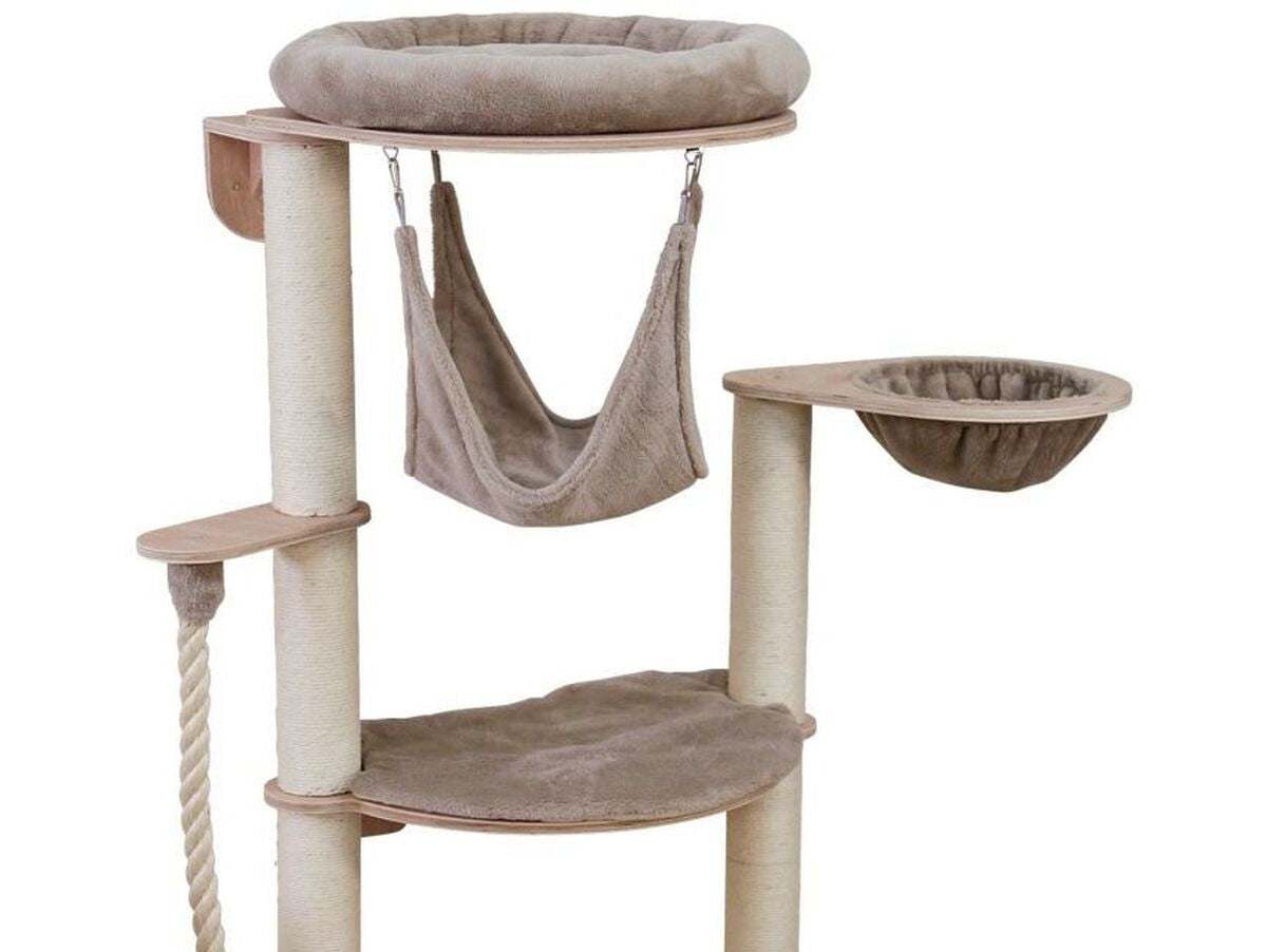 V2HFBAB6D0A3CFB71F6C67203DE7DDEB902R7479797P9