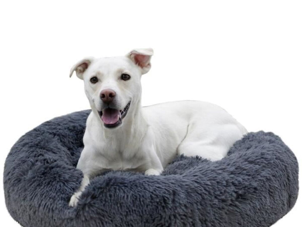 V2H1DF2AFE898A643A1F46CEDFB4510801FR7479841P8