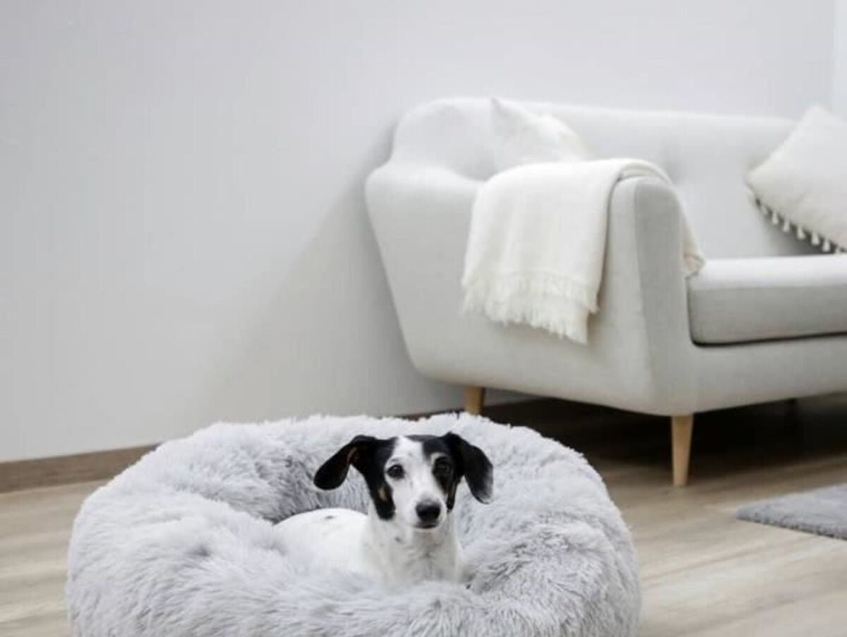 V2HDE80F60A412BAB7C7F33ABAFE52FF7C5R7479854P9