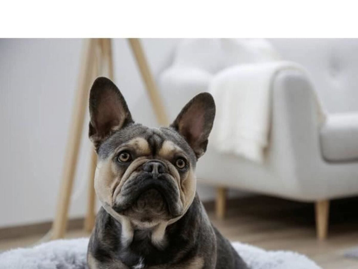 V2HFBB4FBC76834463B5BABCD5C6F0B176DR7479858P10