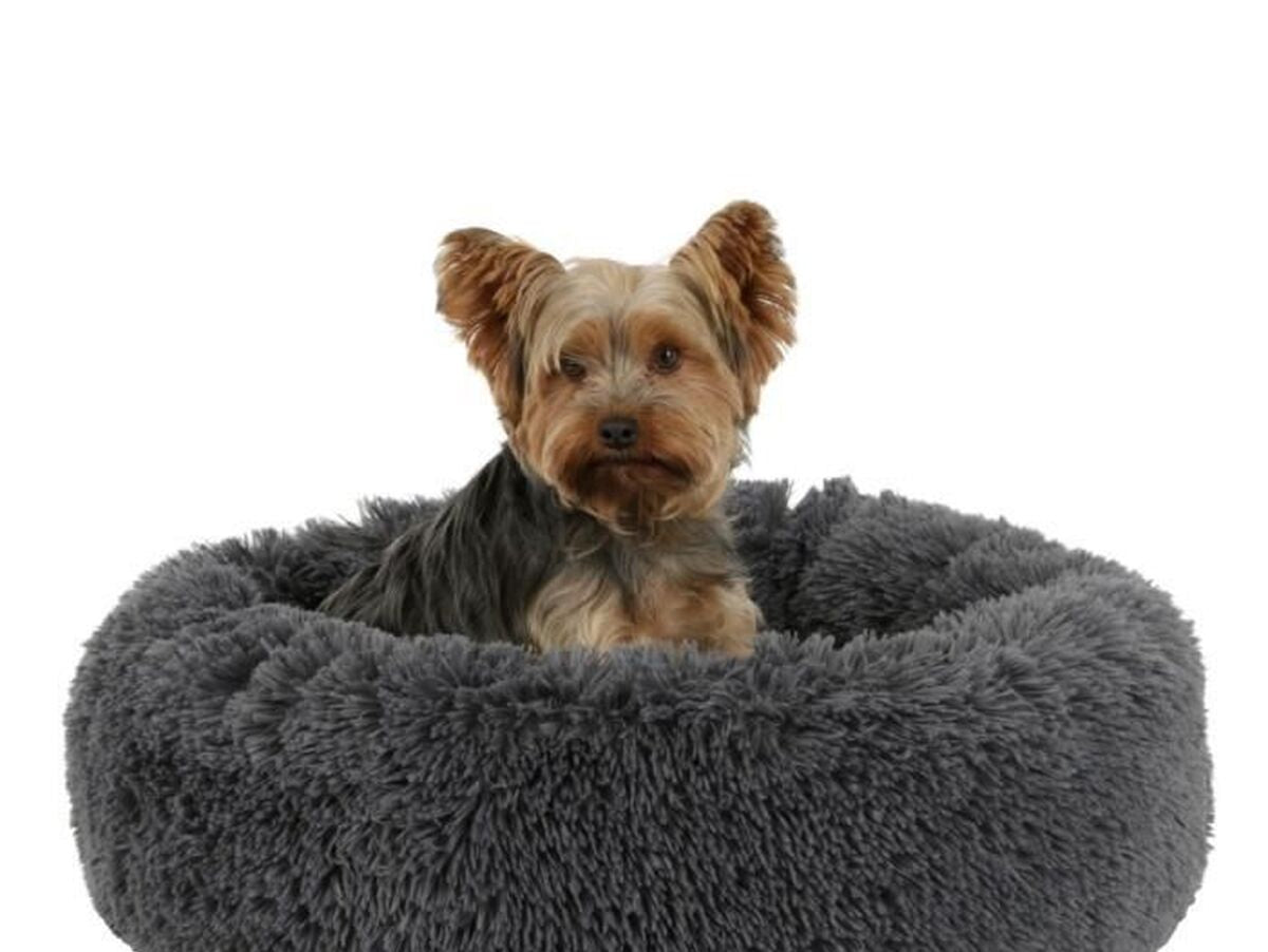 V2H39BAE5C3451AE0501B2F87CEAC971558R7479886P9