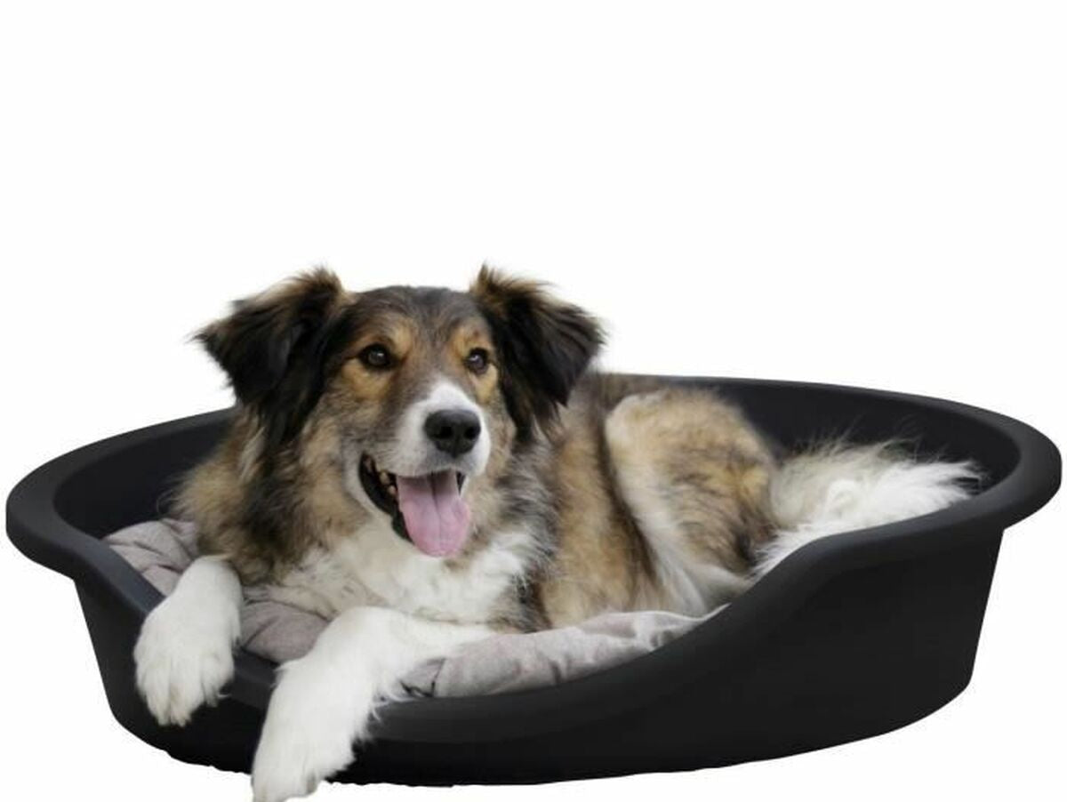 V6H337B649593A6ED7E9A4D4DFF1C7DCD40R5568375P3