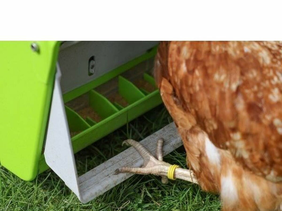 V5H61F2EE1FC93F13A6958AEA87076934FBR5763209P6