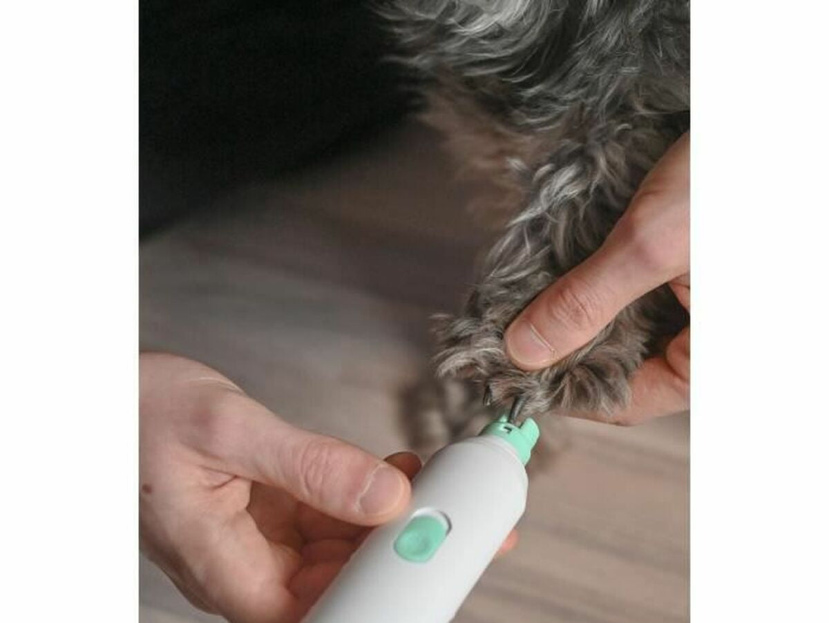 V9H1C112085B043AF7D50149C6D7981DA0DR2381902P5