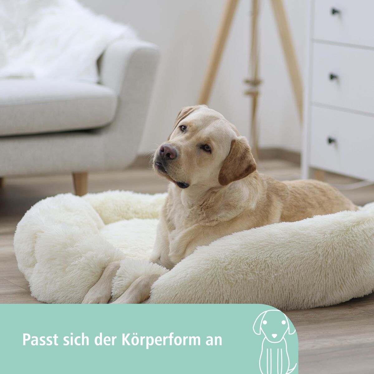 V2HC9E8F25E4CCD4096C5A93D0504202396R7479862P5