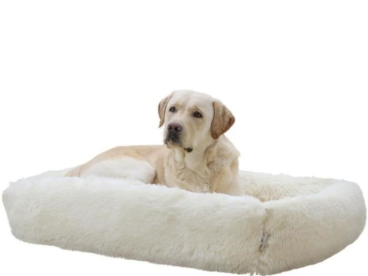 V2HC35C62017FFF1F3AD03ACB4DB0F24AAFR7479874P9