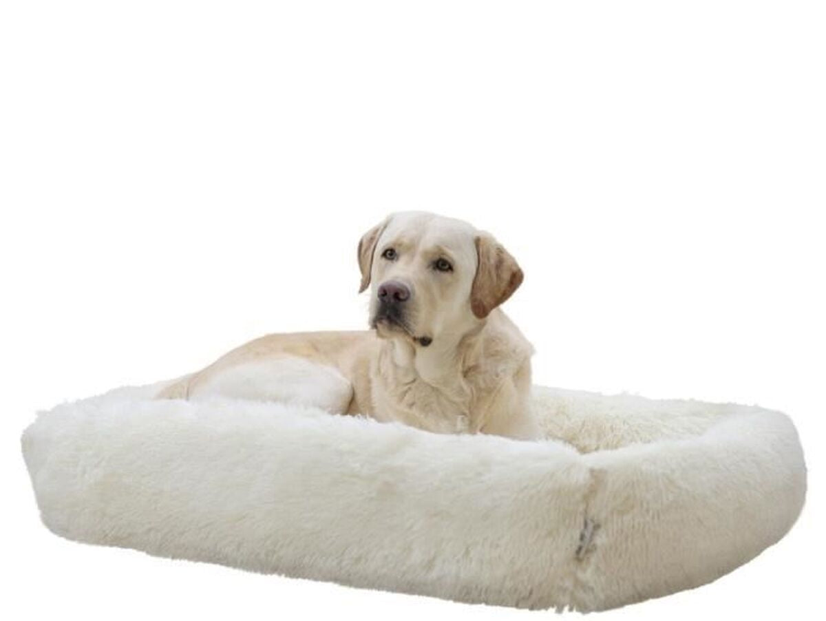 V2H81B662B2C7A96EC666701A427F03EA7ER7479907P10