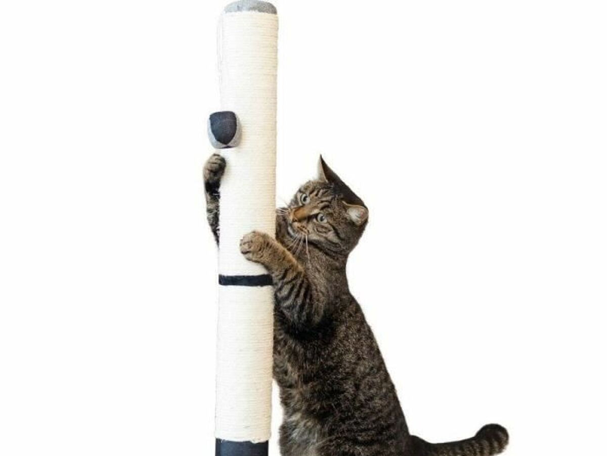 V5H4599AECBD0F14C6D70B68F5DABBA992AR5763404P2