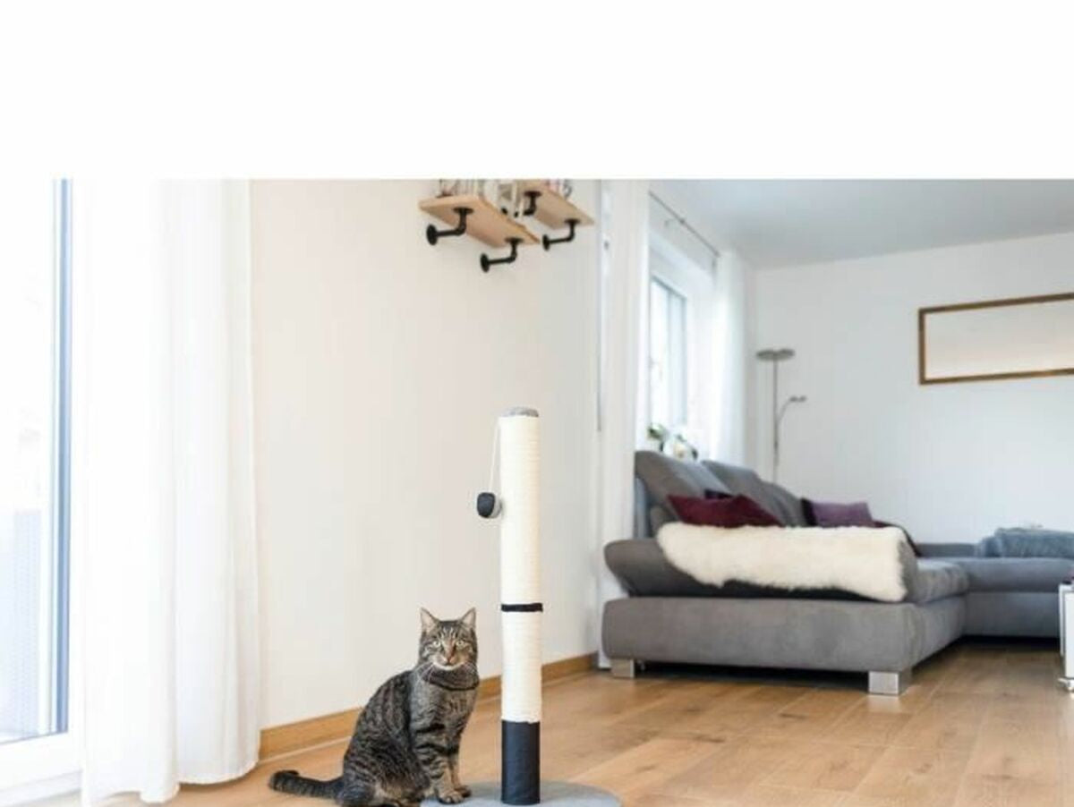 V5H9E780612AEB81F8A87235D111497AEBFR5763407P3