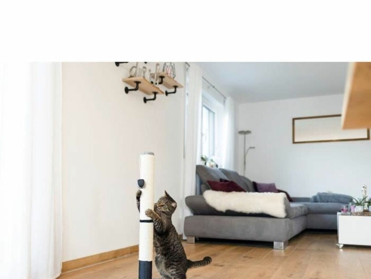 V5H9B1FC00B2AB9F081C486A85085AE6D77R5763411P4