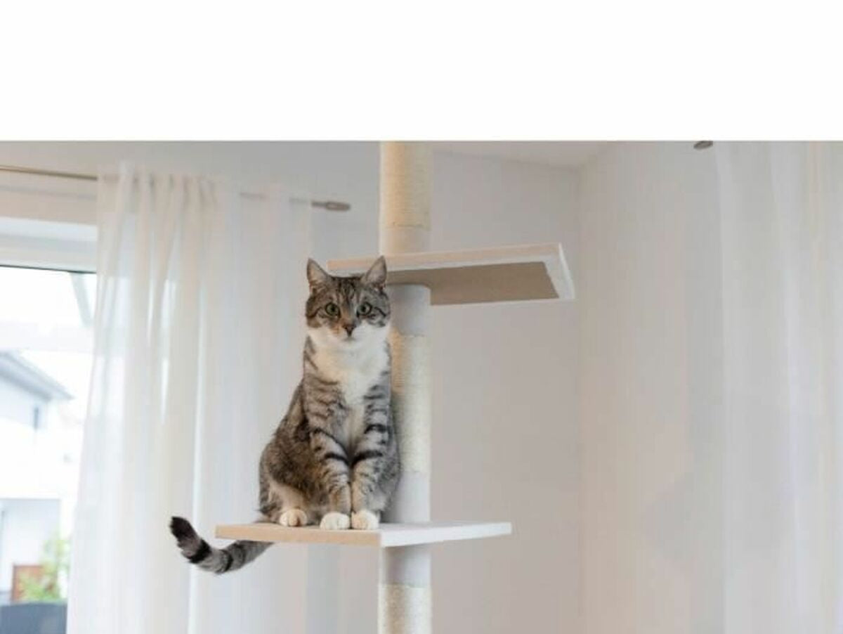 V5H99BA48E6CA2E821C791E5D71A39DAF1DR5763403P3