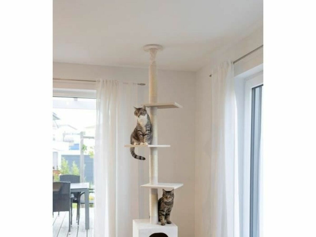 V5HE4DFA4899DA8332FCA3A683B43DD9ADER5763405P4