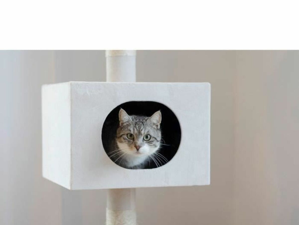 V5H5DB6EF75E3CF44B8066709B92E3EB77DR5763412P6