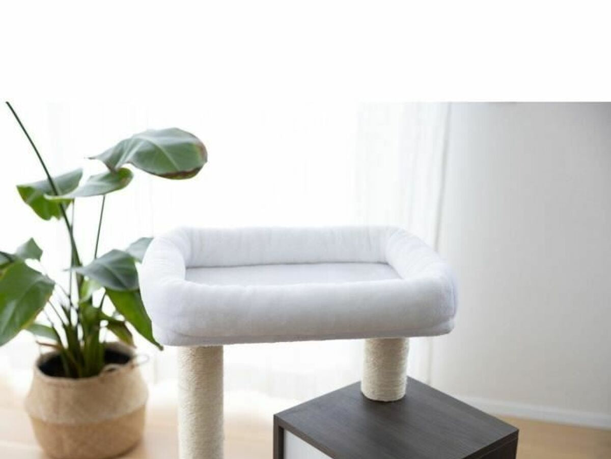 V8H329DD322EF4A5E99DB3786771D67EEA8R6577256P3