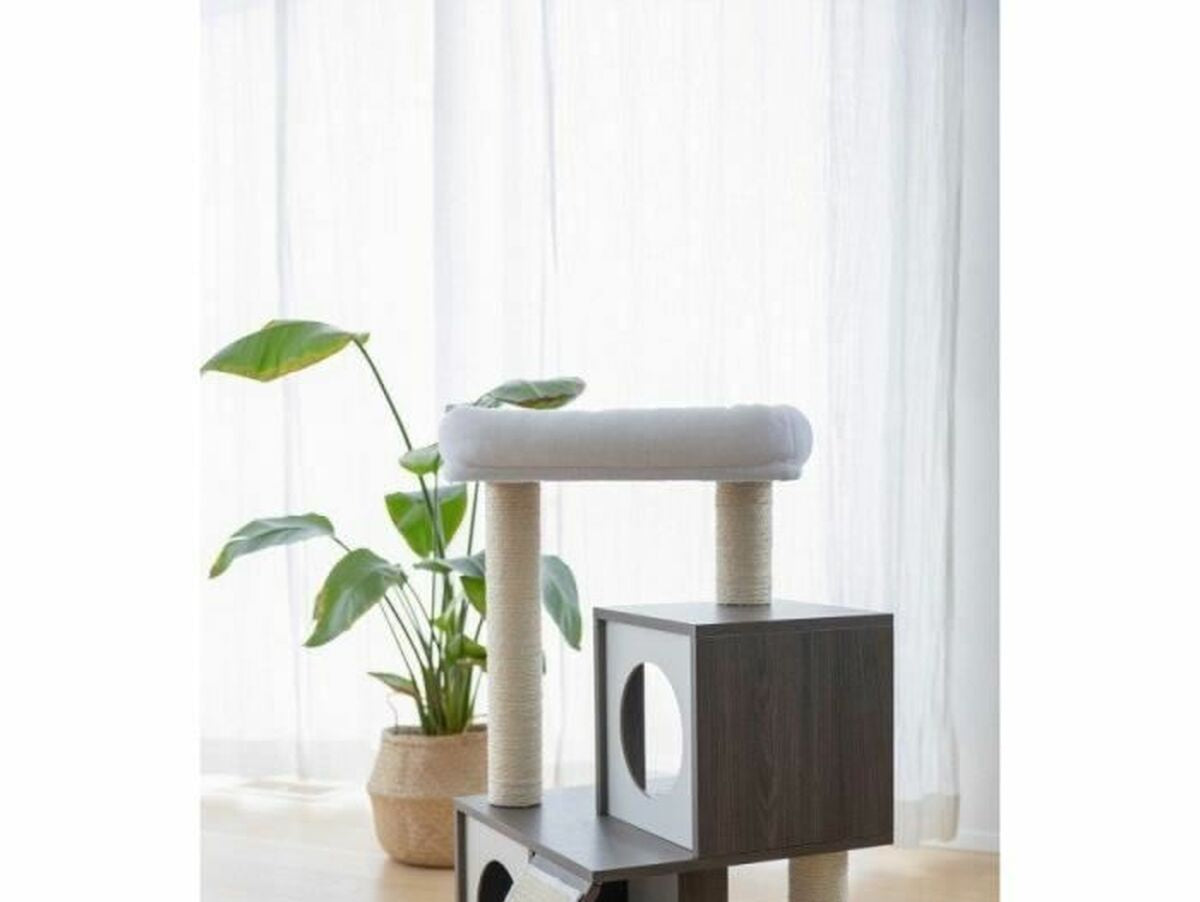 V8H89D0ED24B9E9DA843C0CD4F5570E47CER6577259P4