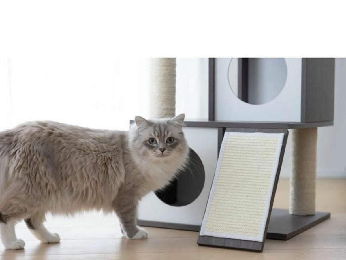 V8HDE063B07BA8F984471DD9E9A97311A99R6577262P5