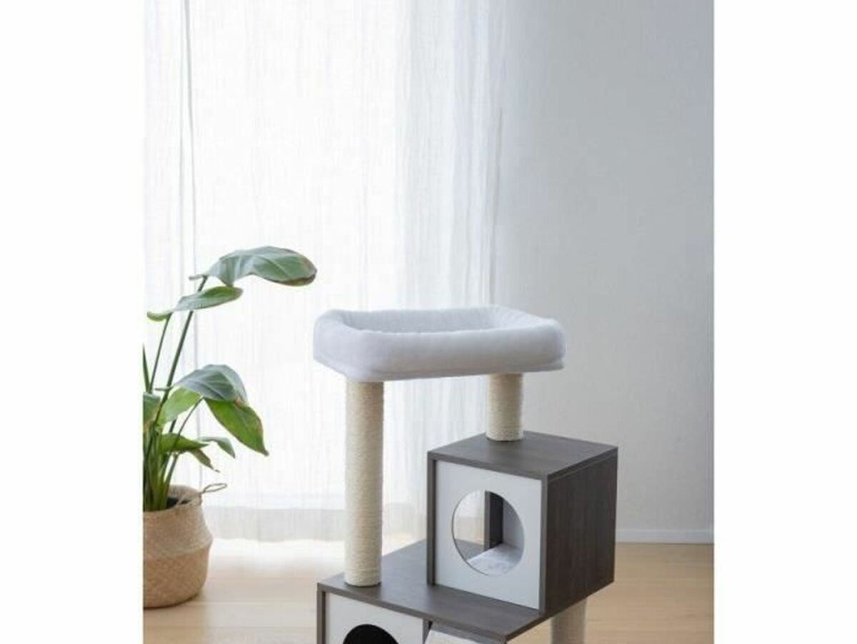 V8H63A1D6C6A5FA49F2382376F25AA67F4BR6577264P6