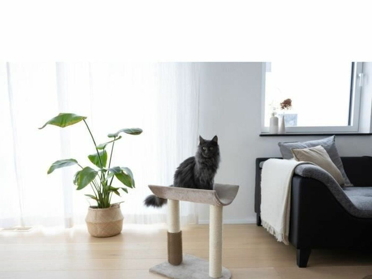 V5H48450E32ECFF9723B75C29EBBE1397D3R5763425P3