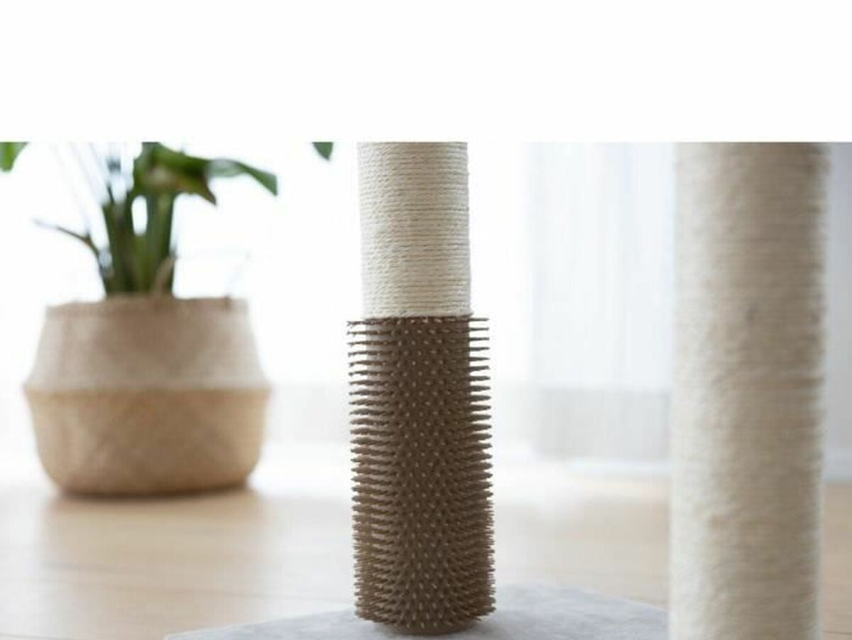 V5HD9BE47D6F2B91C0C6BFF44A27AB171D0R5763437P6